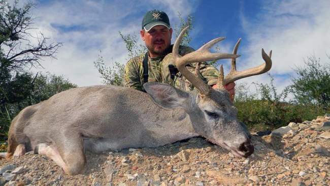 Arizona Deer! Have you ever hunted Coues or Mule Deer in Zona? Share your photos at myadventures@finandfield.com. #Hunting #BorderlandAdventures #Arizona #Deer #FinandField
