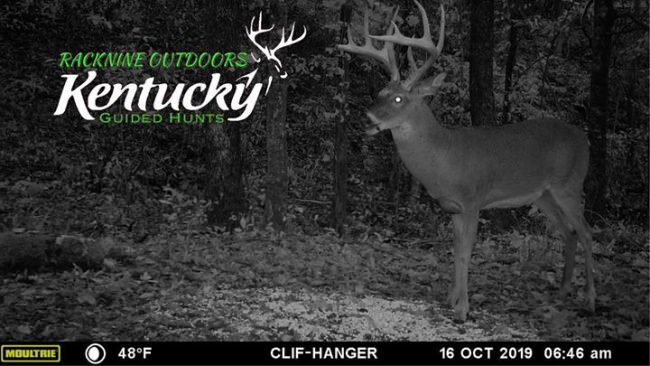 Who has Kentucky Buck fever now? #kentuckybuck #bigbucks #deerhunting #shouldofbooked  @ Racknine Outdoors LLC