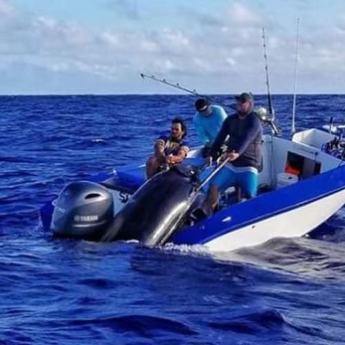 The struggle is reel!
#FishOfALifetime #FishTales #BiggerBoat