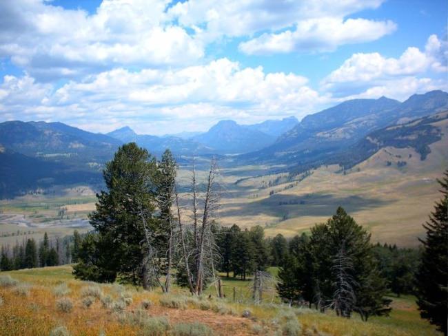 Many of our #tailrides and #packtrips take us over mountain passes which offer these amazing views. What is your favorite view in the park?

Click https://bit.ly/34BX4Sy to get started planning to get away from the crowds, roads, stress and don't forget to pack a camera!