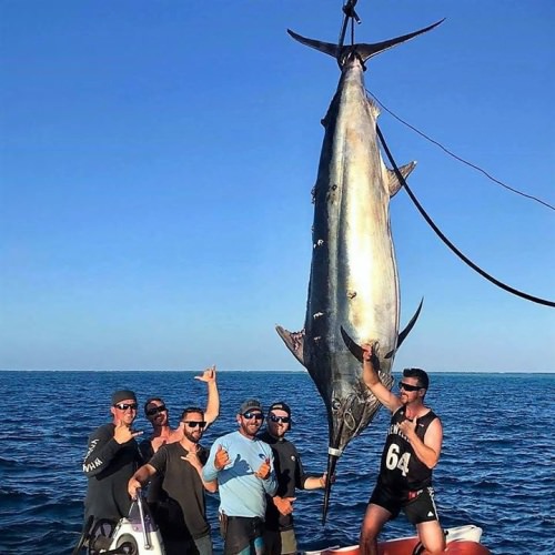 Grander! 1098#er for the Hellraiser II #Cairns #Fishing #FinandField