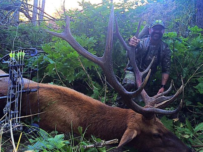 Cameron Hanes getting it done with a bow! Are you ready to book your hunting trip or just looking for more information? Visit www.finandfield.com. #Hunting #Elk #KeepHammering #FinandField