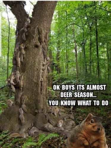 I knew they were all in on it!!!!