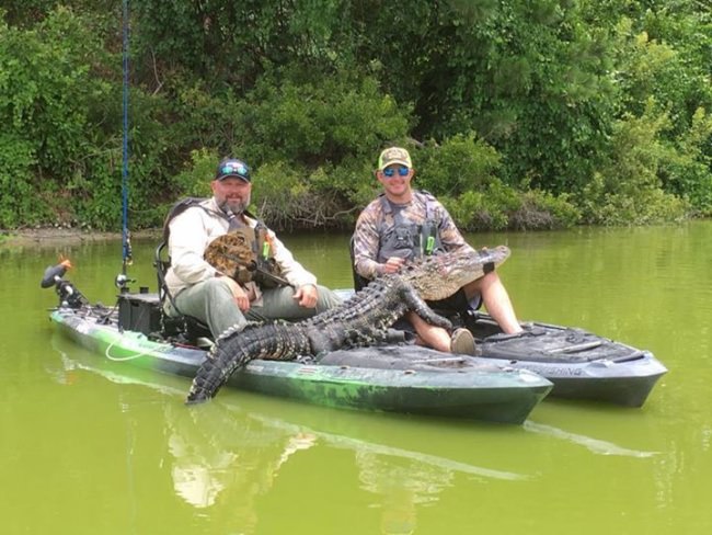 Hmmmm, God's Country Outfitters just went gator hunting in kayaks. Not sure if thats awesome or insane, maybe a bit of both?

http://bit.ly/2s5Pz4m

Till Death Do Us Part | #TillDeathAdventures | #Endorsed | #hunting | #Adventure | #FinAndField