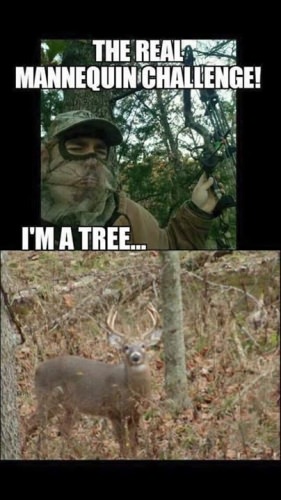 Been there, done that!
#racknine