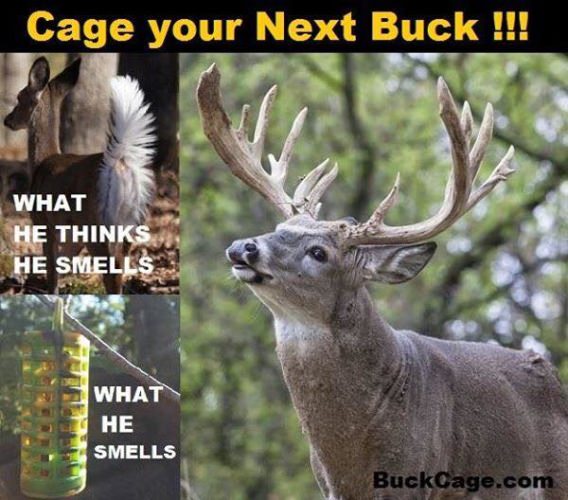 BuckCage Chris Walizer
Racknine Outdoors
Simply put, this is one item that will help you be more successful this fall. This is the perfect scent dispersal system ever made. Order yours today and become a better hunter tomorrow. 
#buckcage
#racknineoutdoors