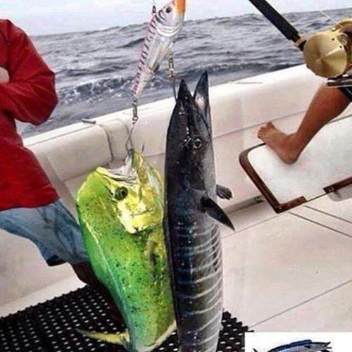 Gives new meaning to "Hooked Up"! #Wow #Fishing #DreamBig2016 #Adventure #FinandField