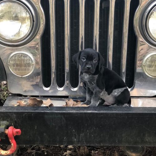 This little man is the newest addition to the Racknine Family!!! Let’s hear some name suggestions!!!