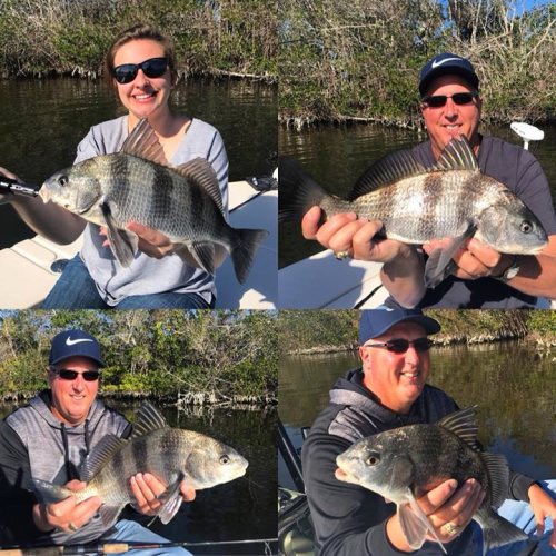 The black drum and redfish bite was good this morning for Phil and Rebecca! #blackdrum #portcanaveral #slightlyobsessed #getslobbed #deepseafishing #nearshorefishing #inshorefishing #fishingcharters #flatsfishing #spacecoast #florida #mbgboats #maverickboats #pathfinderboats #fishthelegend #minnkotamotors #yeticoolers #rcioptics #powerpole #suzukioutboards