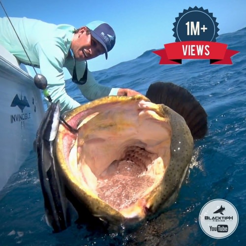 Check out these monsters!