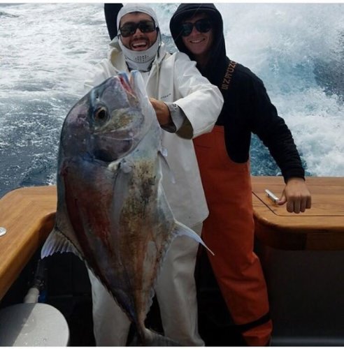That is A LOT of sashimi! L&H Sportfishing (https://bit.ly/2o8e3s7) is a great choice for a great day on the water next time you are in the keys!