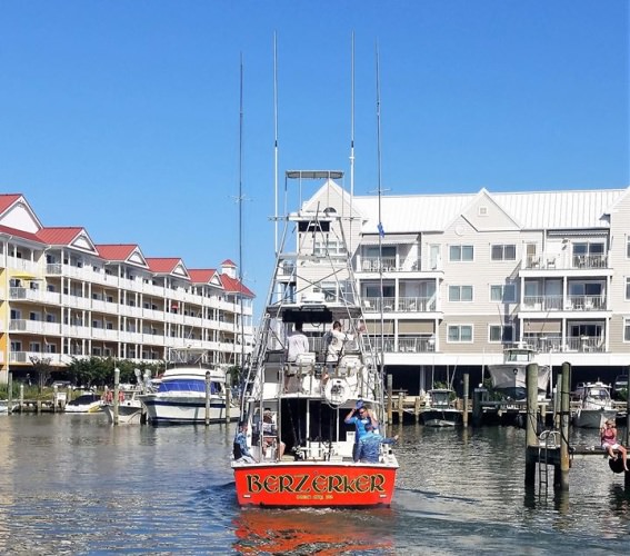 #WMO | #FinandField | #OCMD | #Marlin