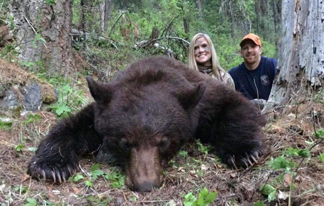 Is it spring bear season in your state? #Hunting #Bear #Spring #Adventure #BookAHunt #FinandField