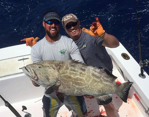 Grouper season is open in Florida! Book your #Grouper fishing adventure at Fin & Field. 

#Fishing | #Florida | #BuzzOn | #FinandField