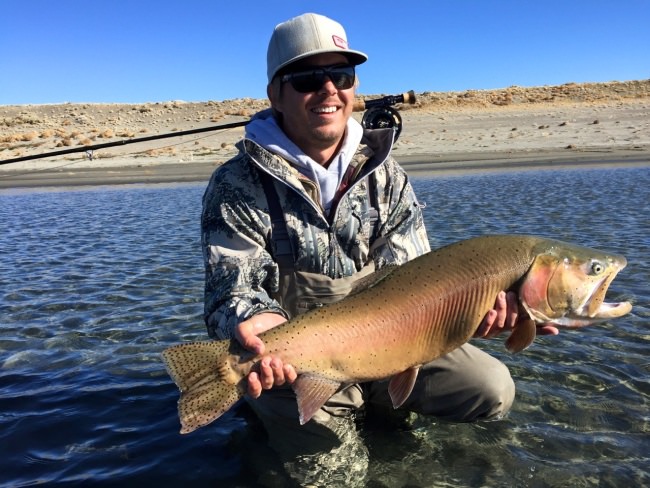Look that this monster trout. What is your personal best? #Fishing #Trout #Flyfishing #FinandField