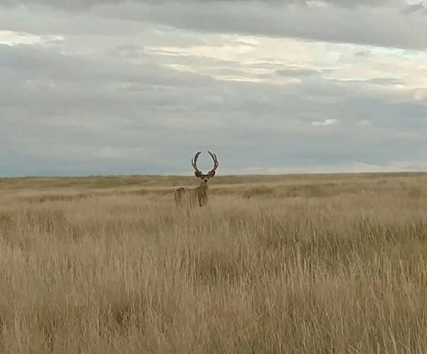 Hunting season is coming! #FindYourNextAdventure #BookAHunt #FinandField