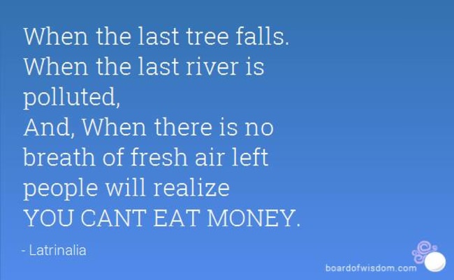 Why don't you do an article on how conservation could help save the catfishing in out lakes and rivers.