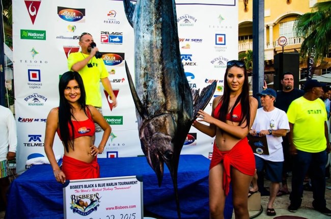 2015 Bisbee's Black and Blue Marlin Tournament is a wrap. Congrats to the Catchin A Buzz, 5 More Minutes & Tranquilo.  Who would have thought Tranquilo's 327lbs blue marlin caught Wednesday would be worth over 2 million dollars. #HookedonBisbees #BlackandBlue #Fishing #FinandField
