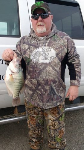 2.2 pound crappie caught on lake fork tackle today. Kept 34 fish caught around 45 fish. and the big ones were bitting today. Had 7 fish ranging from. 1.7 to 2.2 pounds. Caught them 9 to 12 feet deep.  Colder conditions had them deeper  today and they liked the jig with no movement. I love this sport when  the little adjustments make your day. Lake Eufaula is something else this season so far,  and it's only gonna get better.
