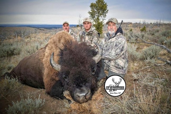 Darrel's giant has been officially scored. He's even bigger than our quick green score showed.  119 6/8 net,  121 1/8 gross. He also provided Darrel with 834 pounds of delicious meat. Absolutely huge. If you're building points for Utah Bison, make sure you contact us.