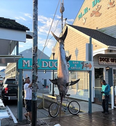 1st Annual Swordfish Cup World Wide Tournament is this weekend. The entry fee is $1,500 per team, 200-pound minimum weight and 24-hour format. Fish 8 am on Saturday, July 27 until 8 am on Sunday, July 28. Visit www.swordfishcup.com! #SwordfishCup #Fishing #WorldWide Fly Navarro #FinandField PC: Restless Lady Charters