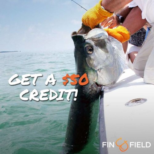 Stop waiting and start booking.

http://bit.ly/2ctkMIj

#FinandField