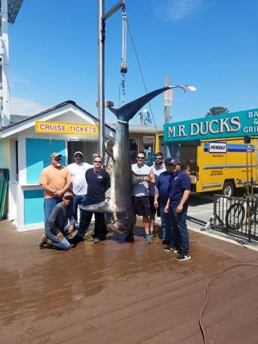 The Huk Big Fish Classic is expecting some true monsters this year. In fact they raised the weight station another 4'. Good thing they did! Congrats to Restless Lady Charters on this giant thresher shark!

#Fishing | #Tournaments | #FinAndField | Ocean City, MD - Tourism