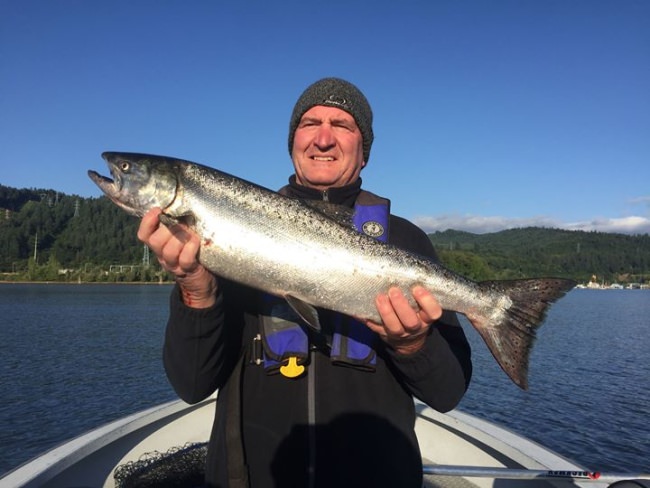 Spring chinook in July. Are they still spring chinook?