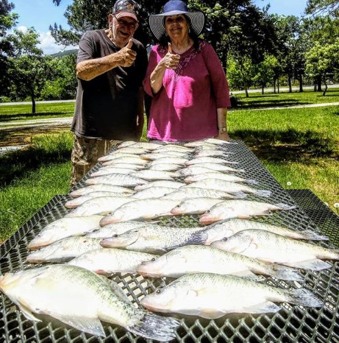Mel Stover and his wife with me today on big ole Lake Eufaula. We caught around 70 fish only keeping the big ones pattern was very shallow 2 to 4 feet deep due to the shad spawn. Mel was a striper guide on lake Texoma for over 30 years. Now he wants to be able to learn how to chase these tasty creatures.#lakeforktackle. paddle tail is killer this time of year.