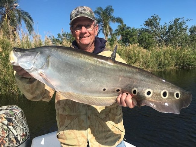 These clownfish are becoming pretty popular, book with South Florida Bass Charters (http://bit.ly/2nCE55R) and come find out why!
