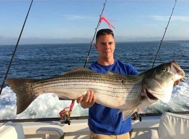 Nice One! Send your photos to myadventures@finandfield.com. #Fishing #StripedBass #Rockfish #FinandField