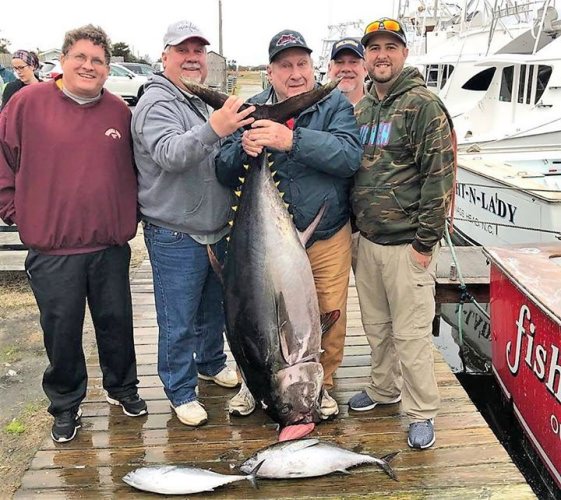 Fishin' Frenzy got a 191# Bigeye for these anglers. #NC #OBX #WickedTuna #Fishing #FinandField