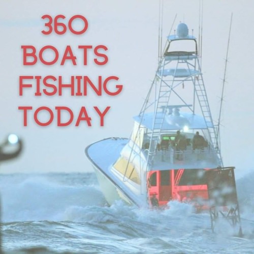White Marlin Open scales should be busy. Catch the live action at www.whitemarlinopen.com 
#WMO #FinandField #OCMD
