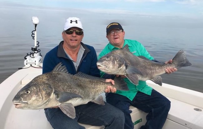 John and Rocky showing off some stud drum from today! #blackdrum  #portcanaveral #slightlyobsessed #getslobbed #deepseafishing #nearshorefishing #inshorefishing #fishingcharters #flatsfishing #spacecoast #florida #mbgboats #maverickboats #pathfinderboats #fishthelegend #minnkotamotors #yeticoolers #rcioptics #powerpole #suzukioutboards