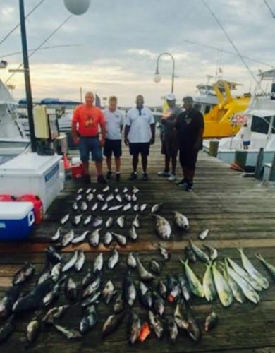 Anyone hungry?

Get in on the great fall action in #OceanCity #Fishing #FinandField

Learn How - http://bit.ly/2cqYh4J