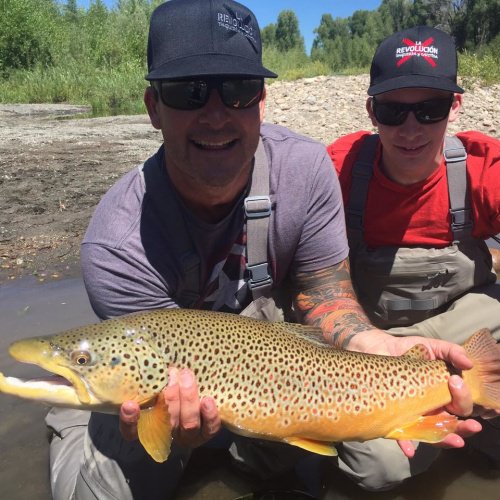 Beautiful Brown! #Fishing #FinandField