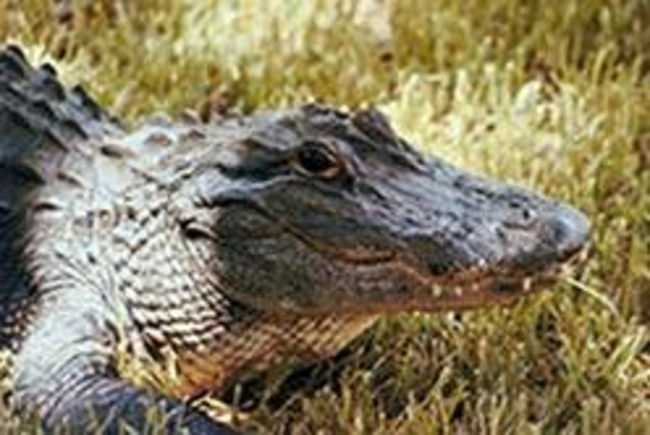 Don't forget to submit your application.  The deadline is June 15!