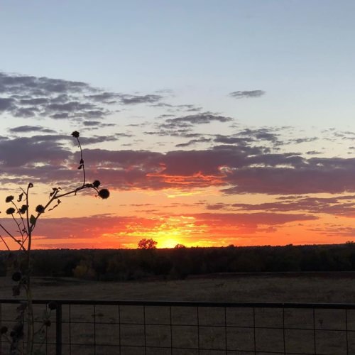 Those last few seconds of sunlight might be one of my favorite times of the day!
.
.
.
#oklahoma #sunset #makingmemories #thosecolors #Heisgood #getoutside