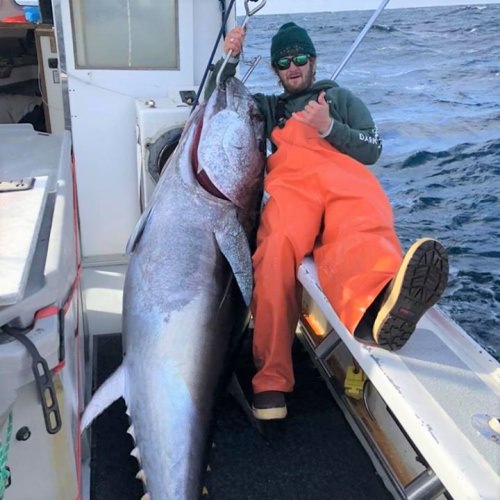 Jacob Pilkerton No Limits.
#Tuna #Fishing #FinandField #NoLimits
