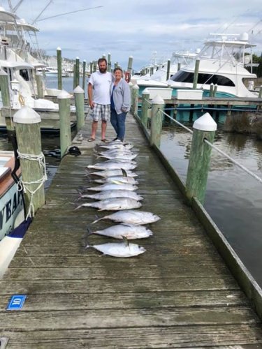 Another great day limit by 10:30
With some blackfins too