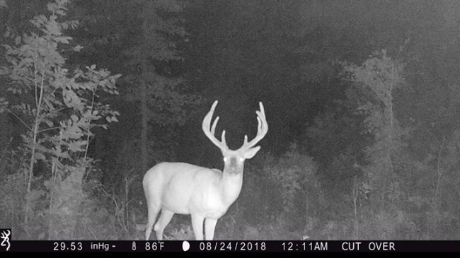 Kentucky hunts still available. Day hunts 3days,  and, 5days. A hunt for all budgets!! Call us 678-326-8877