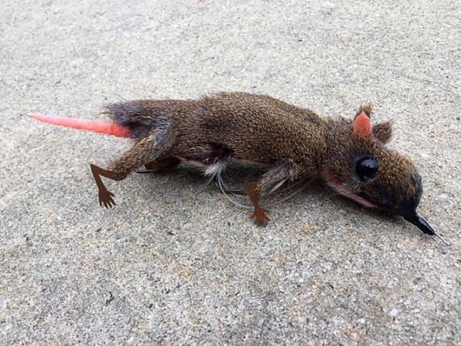 Would you wouldn't you?