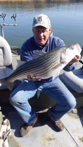 THE CHEROKEE LAKE FISHING IS ON FIRE!! 

Click below to read the latest Captain Jim’s StriperFun Cherokee Lake Report: http://www.fishin.com/forums2/content.php/7833-CAPTAIN-JIM%E2%80%99S-STRIPERFUN-CHEROKEE-LAKE-FISHING-REPORT

We are having 30 to 40 fish days with lots of 8 to 10-pound Hybrids and some big 15-pound plus Stripers too!  We hope to see you soon!!  Call me to book at 931-265-9943

Captain Jim Durham
