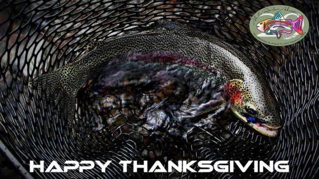 From all of us at Alaska Rainbow Adventures we wish you a happy and safe Thanksgiving.
