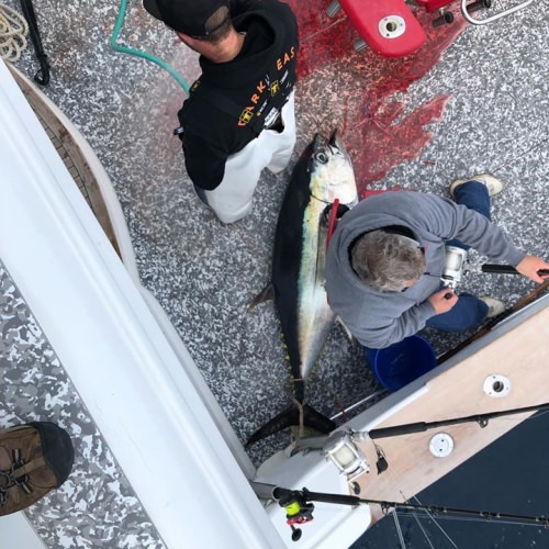 1/3 on bigeyes today