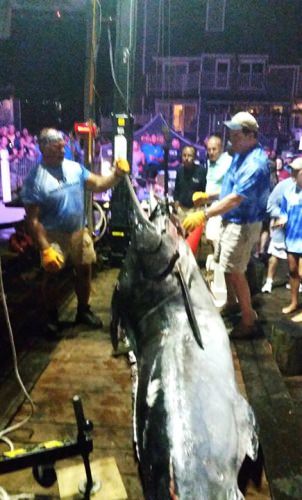 Get Reel's 790 Blue Marlin. #WMO #FinandField #Fishing #OC