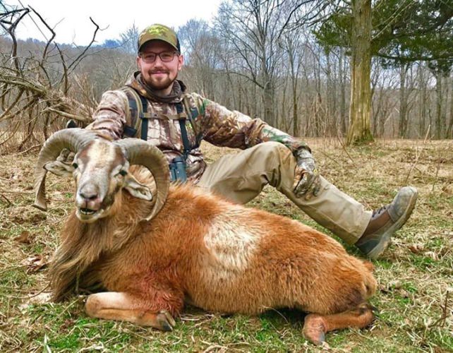 Mouflon down Wilderness Hunting Lodge in #TN. #Hunting #Adventure #FinandField