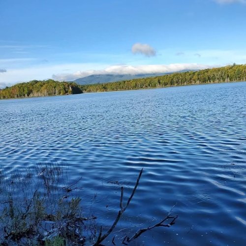 Great week scouting for moose and grouse season at Bowlin Camps. Looking like a great season to come.
