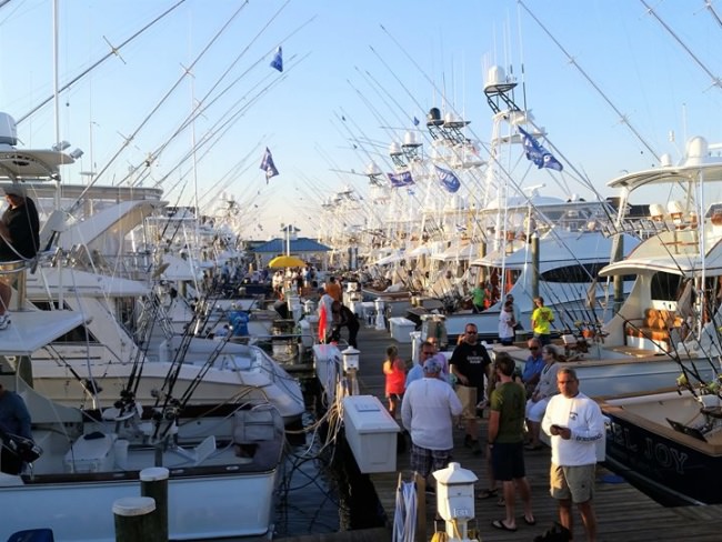 We are in Ocean City for final day of the MidAtlantic Tournament and the scales should be CraZy! All 157 boats went out fishing today. Come down to Sunset Grille or watch the action live at www.themidatlantic.com! #Fishing #OCMD #NJ #MidAtlantic #FinandField