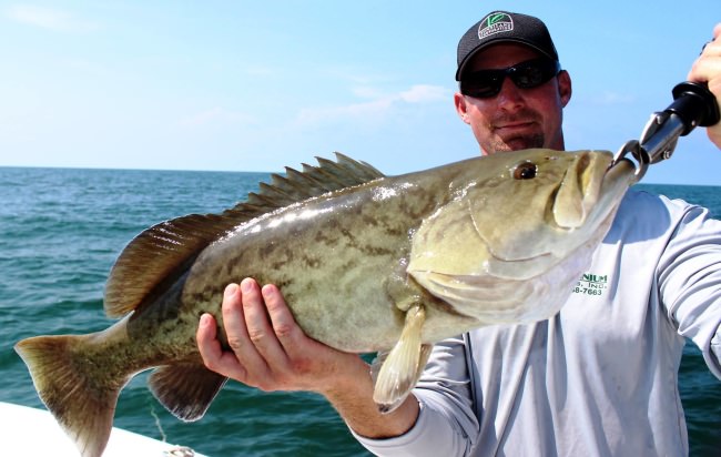 Nice variety of fish! #Fishing #FinandField